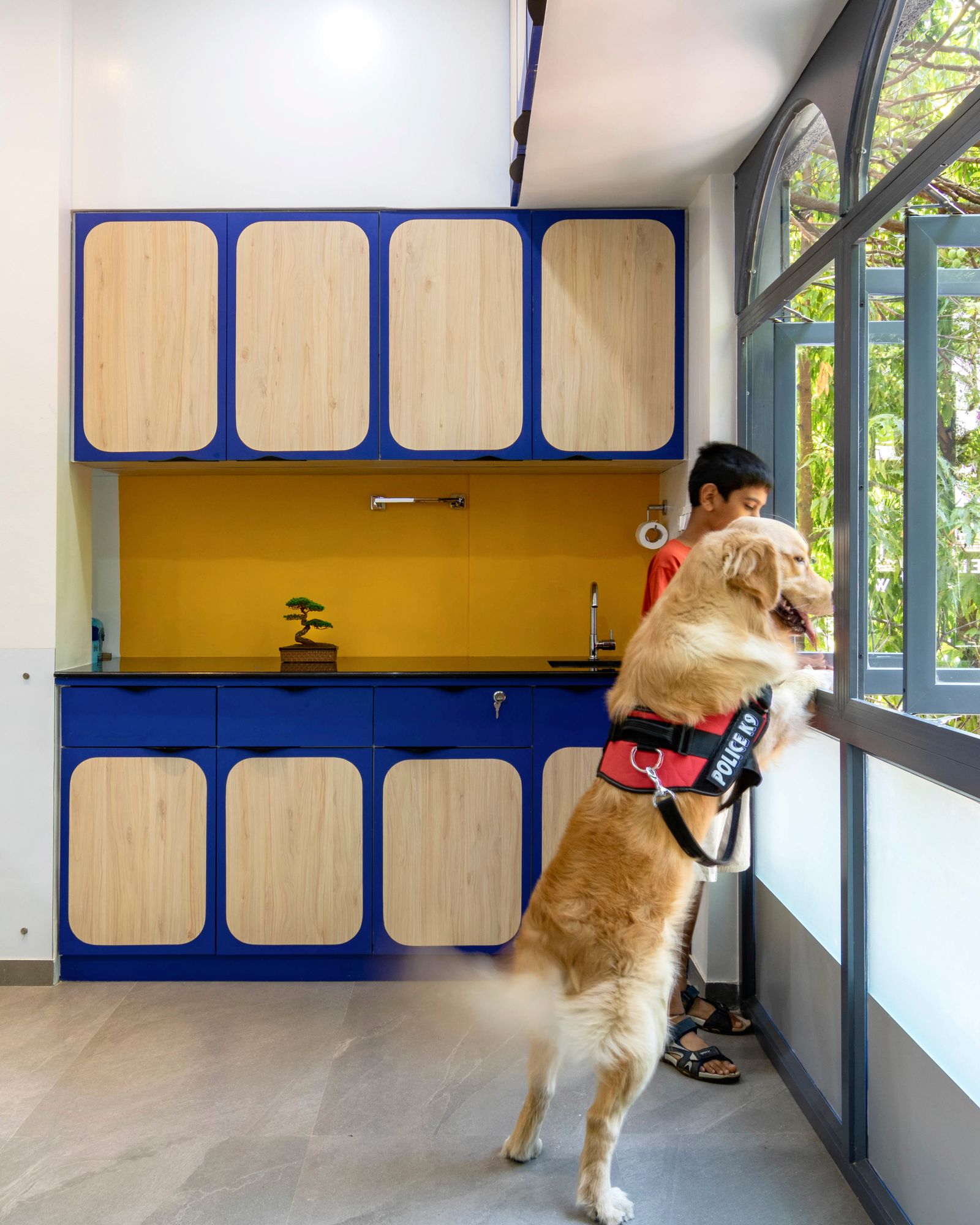 Vet Care — Commercial — Pune